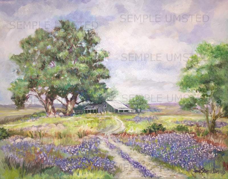 Texas Bluebonnets (Giclée on Canvas)