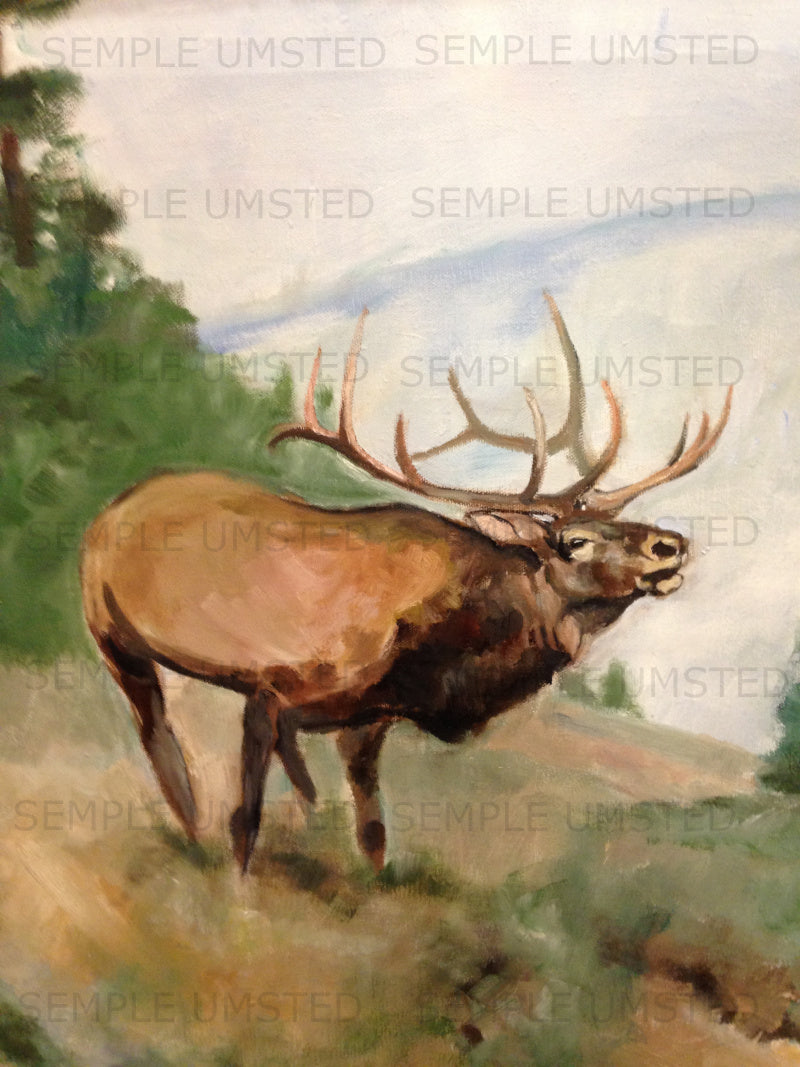 Waipiti (Giclée on Canvas)