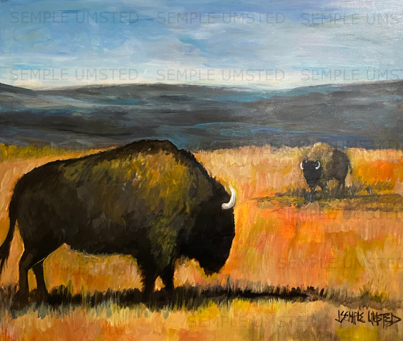 Prairie Standoff (Giclée on Canvas)
