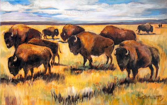12 Mile Prairie (Giclée on Canvas)