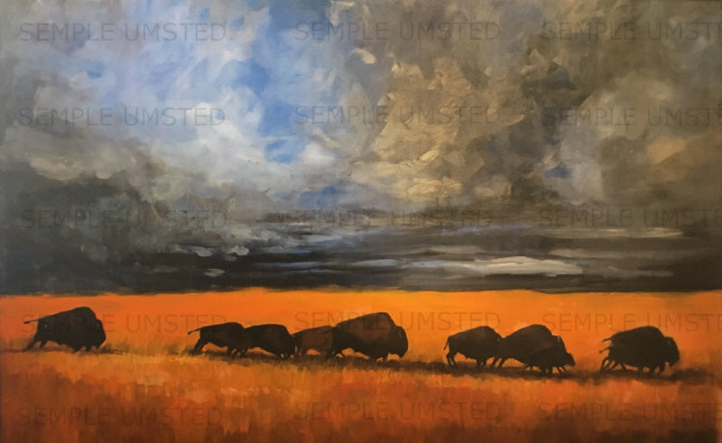 Buffalo In Storm  (Giclée on Canvas)